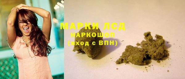 ГАЛЛЮЦИНОГЕННЫЕ ГРИБЫ Вязьма