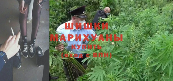 ГАЛЛЮЦИНОГЕННЫЕ ГРИБЫ Вязьма