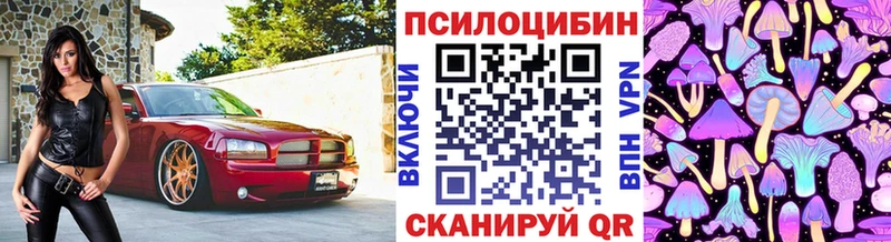Псилоцибиновые грибы прущие грибы  купить  сайты  Заволжск 